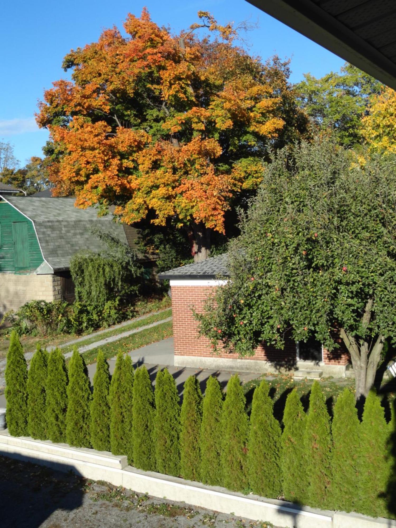 Rainbow Bed & Breakfast Niagara Falls Ngoại thất bức ảnh